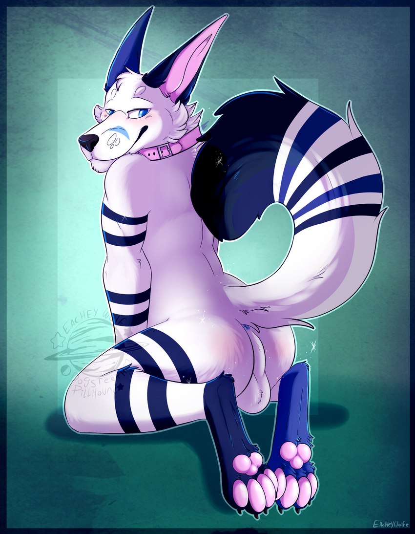 anthro bedroom_eyes blush butt collar leg_markings male markings narrowed_eyes paws presenting presenting_hindquarters raised_tail seductive socks_(marking) solo tail sharkguts blizzard_(blizzyfox) arctic_fox canid canine fox mammal true_fox absurd_res hi_res