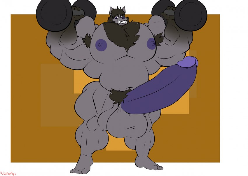 anthro balls big_muscles big_penis body_hair chest_hair dumbbell genitals huge_arms huge_muscles huge_penis male musclegut muscular muscular_male nipples penis solo weights nathanlepoyo hoodiewulf canid canine canis mammal wolf hi_res