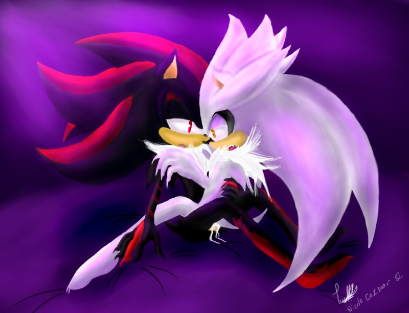 shadow the hedgehog and silver the hedgehog (sonic the hedgehog (series) and etc) created by shilumi