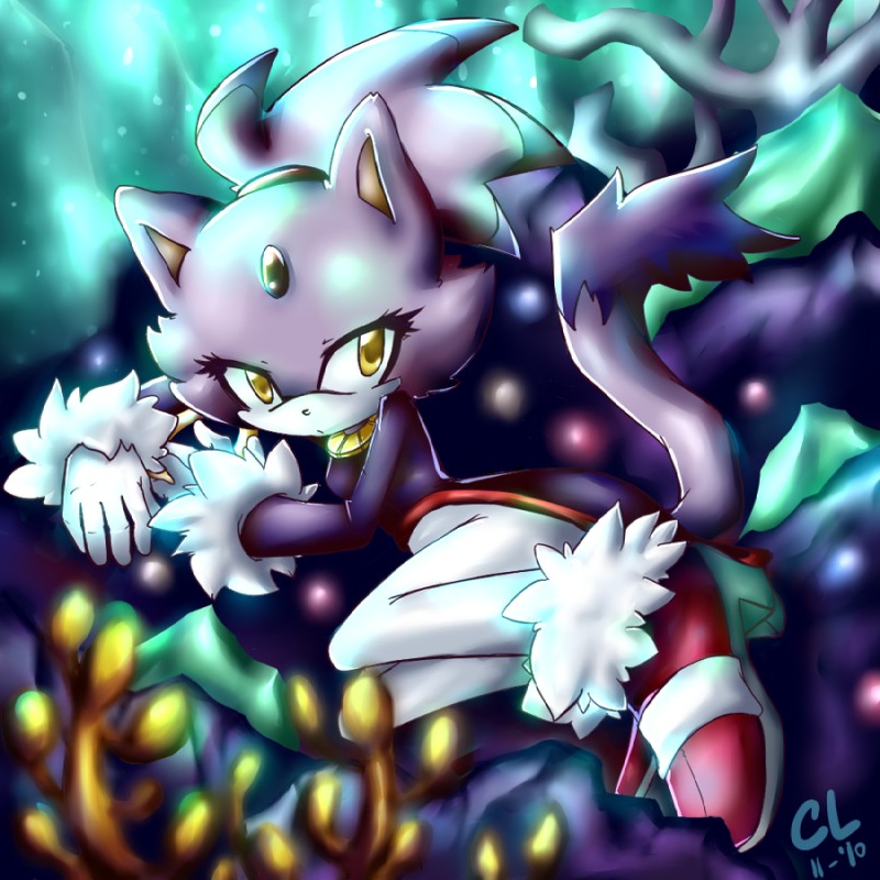 blaze the cat (sonic the hedgehog (series) and etc) created by caninelove