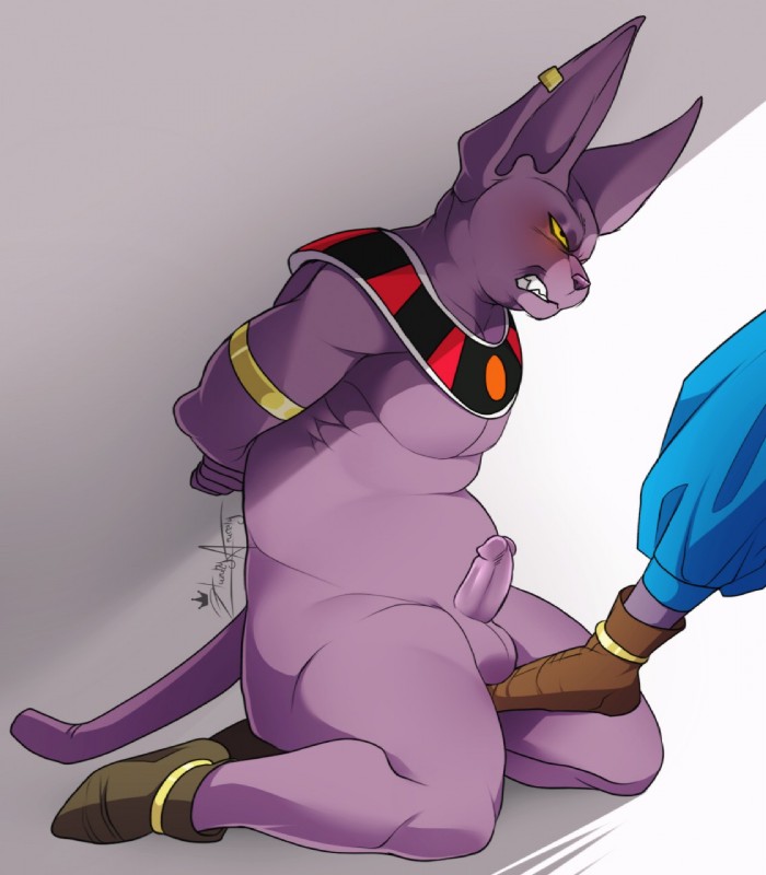 beerus and champa (dragon ball super and etc) created by hazakyaracely