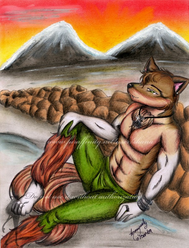 anthro biped brown_body brown_fur calm clothed clothing ear_piercing fur jewelry male mountain muscular muscular_anthro muscular_male necklace outside piercing sitting solo teeth shana sicarius canid canine canis mammal wolf hi_res