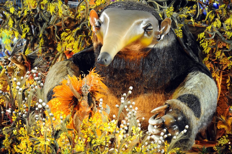 female feral group long_snout parade real scary snout solo_focus what unknown_artist anteater giant_anteater human mammal pilosan xenarthran grandfathered_content