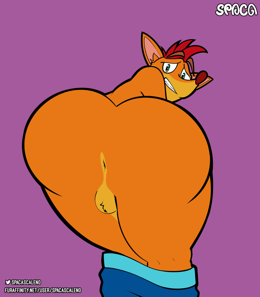 anus balls big_butt butt embarrassed fur genitals hair looking_at_viewer male simple_background solo text thick_thighs wide_hips spaca activision crash_bandicoot_(series) crash_bandicoot bandicoot mammal marsupial absurd_res digital_media_(artwork) hi_res