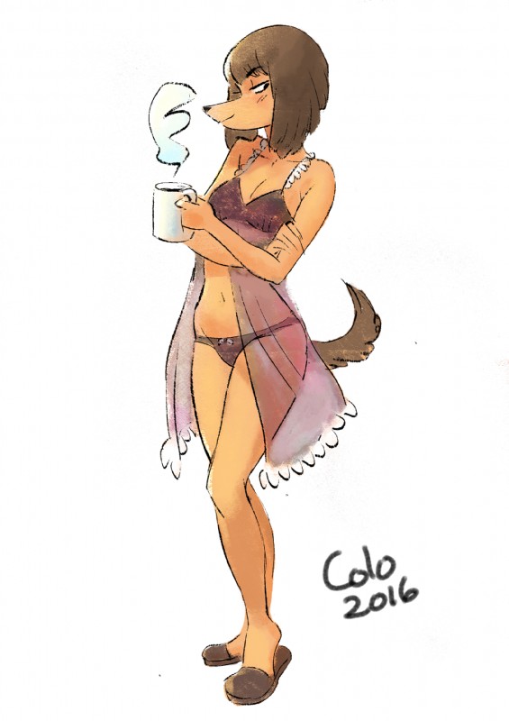 anthro blush breasts brown_hair cleavage clothed clothing container cup female footwear hair nightgown panties shoes simple_background slippers smile solo underwear white_background colo misha_(colo) canid canine canis domestic_dog mammal 2016 hi_res