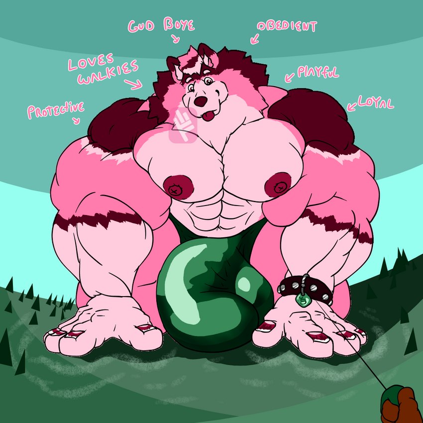 abs anthro balls_outline barazoku bdsm biceps big_bulge big_muscles big_nipples blep body_size_growth bracelet bulge clothed clothing collar collar_tag detailed_bulge duo earthquake excited fingernails fluffy fluffy_tail forest fur genital_outline giga good_boy grass hair holding_leash holding_object huge_bulge huge_muscles huge_nipples humanoid_hands hyper hyper_bulge hyper_muscles jewelry jockstrap leash macro male muscular muscular_anthro muscular_male nails neck_tuft nipples partially_clothed pecs penis_outline petplay pink_nose plant roleplay simple_background size_difference size_play size_transformation studded_collar studs tail text tongue tongue_out transformation tree tuft underwear wrist_collar fujiyama_samoyed yanbara_(fujiyamasamoyed) alaskan_malamute canid canine canis domestic_dog mammal nordic_sled_dog spitz himbo 1:1 digital_media_(artwork) english_text