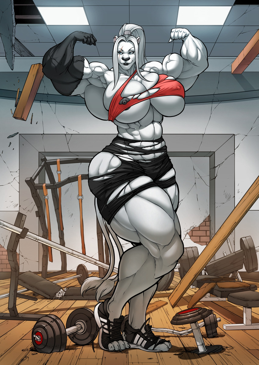 2_tails anthro areola barbell big_breasts big_muscles breasts clothed clothing destruction detailed_background dumbbell female gym hair huge_muscles hyper hyper_muscles multi_tail muscular muscular_anthro muscular_female nipples pecs pecs_with_breasts pose scar solo tail torn_clothing weights white_body white_hair r2roh kincade felid lion mammal pantherine hi_res