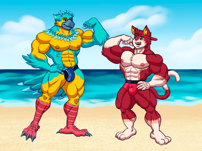 anthro athletic backwards_baseball_cap backwards_cap backwards_hat baseball_cap beach bikini_thong blue_body blue_feathers clothing duo feathers feet fitness frat_boy fur hat headgear headwear male muscle_size_difference muscle_tone muscle_worship muscular muscular_male nipples presenting red_body red_fur sand sea seaside showing_teeth size_difference smile smirk smirking_at_another smirking_at_partner speedo summer swimwear talons thong toes underwear water yellow_body yellow_feathers xanderart69 animal_crossing nintendo keaton_(animal_crossing) rudy_(animal_crossing) accipitrid accipitriform avian bird domestic_cat eagle felid feline felis humanoid mammal parakeet parrot true_parrot himbo 4:3 hi_res andromorph_(lore)