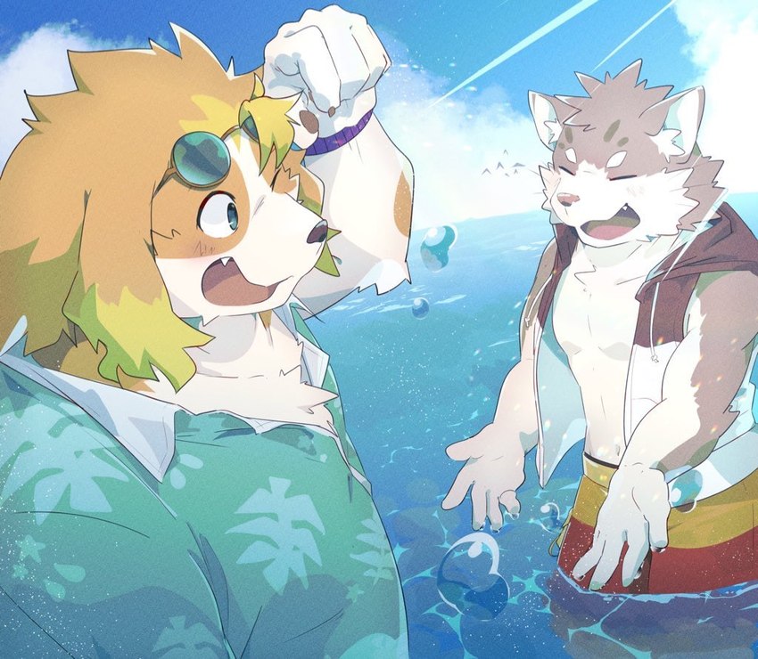 aloha_shirt anthro beach blonde_hair bottomwear clothing duo eyewear fur grey_body grey_fur hair male pattern_clothing pattern_shirt pattern_topwear seaside shirt shorts splash sunglasses topwear water sakehabera lifewonders live_a_hero tokyo_afterschool_summoners hisaki_(live_a_hero) sitri_(tas) canid canine canis domestic_cat domestic_dog felid feline felis mammal crossover