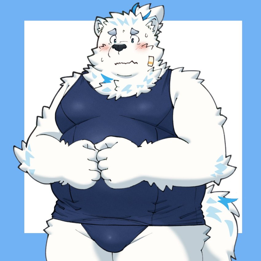 anthro bandage blue_eyes blush bulge clothing embarrassed fur male one-piece_swimsuit overweight overweight_male school_swimsuit solo swimwear white_body white_fur yaki_atsuage lifewonders live_a_hero yohack canid canine canis domestic_dog mammal nordic_sled_dog samoyed spitz 1:1 hi_res