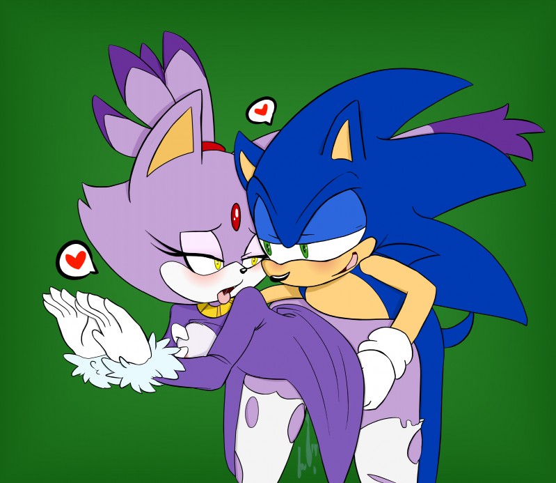 blaze the cat and sonic the hedgehog (sonic the hedgehog (series) and etc) created by es74 and tenshigarden