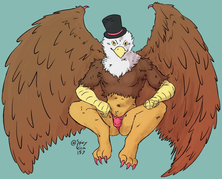 anthro beak brown_body bulge butt claws clothed clothing colored_nails detailed_bulge feathered_wings feathers feet fur hat headgear headwear looking_at_viewer male mythical nails partially_clothed simple_background smile solo spread_wings talon_hands talons thong toe_claws toes top_hat tuft underwear wings spicyfish157 mythology avian bird gryphon mammal mythological_avian mythological_creature digital_media_(artwork)