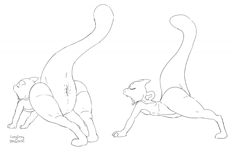 ambiguous_gender anus anus_only feral long_tail null open_mouth semi-anthro simple_background snout solo stretching tail tailbutt tapering_tail thick_tail wide_crotch yawn longlevy nintendo pokemon generation_1_pokemon legendary_pokemon mewtwo pokemon_(species) 2016 monochrome signature sketch