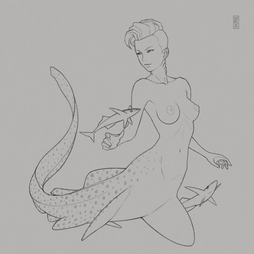 ambiguous_gender breasts female feral gills group hair neck_gills nipples nude short_hair spots trio sevi_(artist) carpet_shark fish fish_taur marine marine_taur shark shark_taur taur zebra_shark 1:1 2019 black_and_grey monochrome