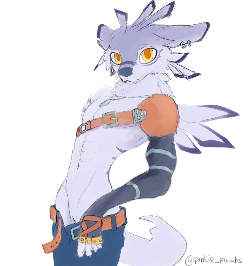 andromorph anthro armor clothing ear_piercing genitals intersex looking_at_viewer piercing pussy simple_background solo undressing white_background pinkie_pawbs bandai_namco digimon canid canine digimon_(species) mammal weregarurumon hi_res