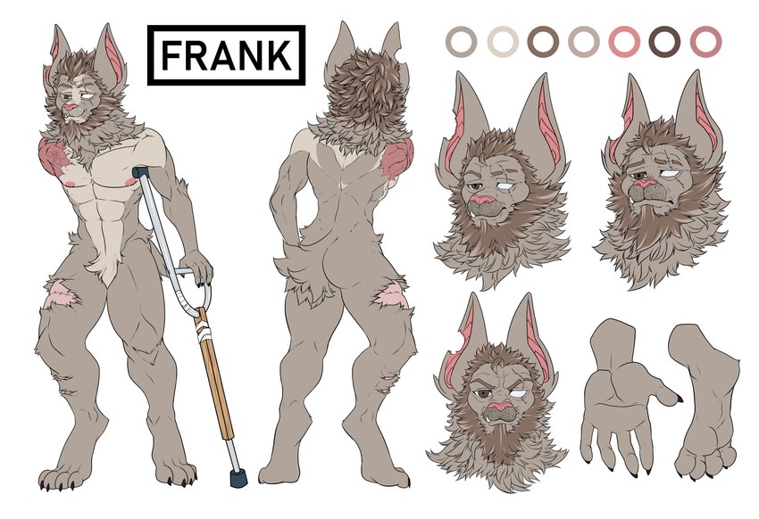 1_eye amputee anthro beard brown_eyes brown_hair claws crutch disability eye_scar eyebrows facial_hair facial_scar fur fur_markings grey_body grey_fur hair leg_scar male markings medical_instrument missing_arm mustache neck_tuft paws scar scientific_instrument thick_eyebrows tuft fycroh liltaiga4 danglebat frank_(danglebat) bat mammal absurd_res digital_media_(artwork) hi_res model_sheet