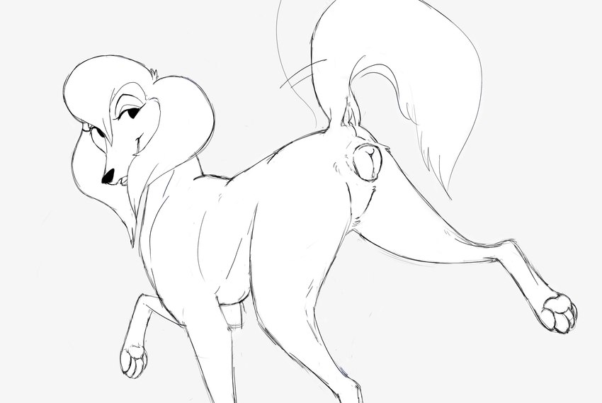 anatomically_correct anatomically_correct_anus anatomically_correct_genitalia anatomically_correct_pussy animal_genitalia animal_pussy anus bedroom_eyes black_nose butt canine_genitalia canine_pussy female feral fur genitals hair looking_back narrowed_eyes one_leg_up open_mouth pawpads paws plump_labia presenting presenting_anus presenting_hindquarters presenting_pussy pussy quadruped raised_leg raised_tail seductive simple_background solo tail tail_anus tail_motion tailwag white_background daemon_lady all_dogs_go_to_heaven don_bluth sasha_la_fleur bird_dog canid canine canis domestic_dog hunting_dog irish_setter mammal setter 2023 absurd_res hi_res sketch