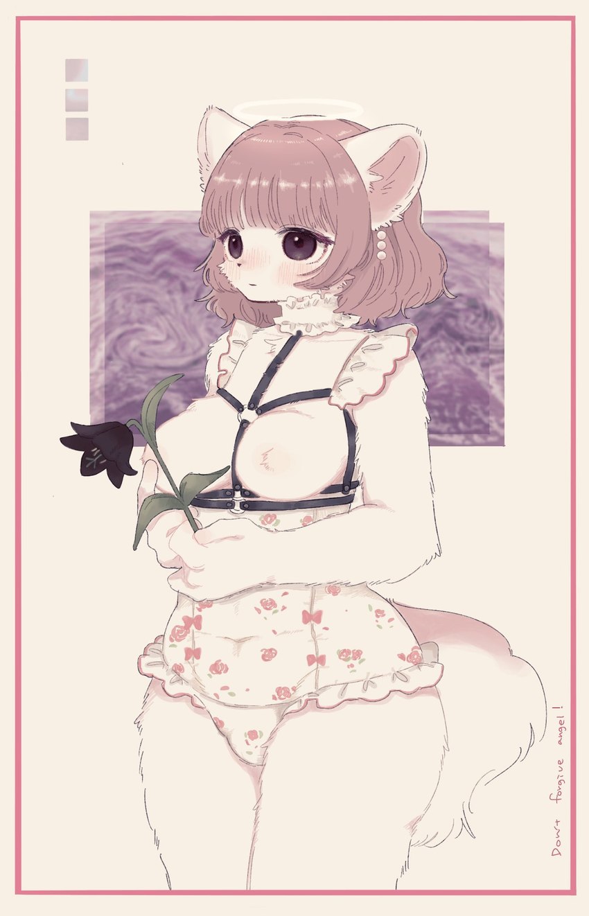 anthro black_flower blush breasts cheek_tuft clothing facial_tuft featureless_breasts female female_anthro flower fur halo holding_flower holding_object kemono neckwear plant solo straps tuft nonomai25 felid feline mammal hi_res