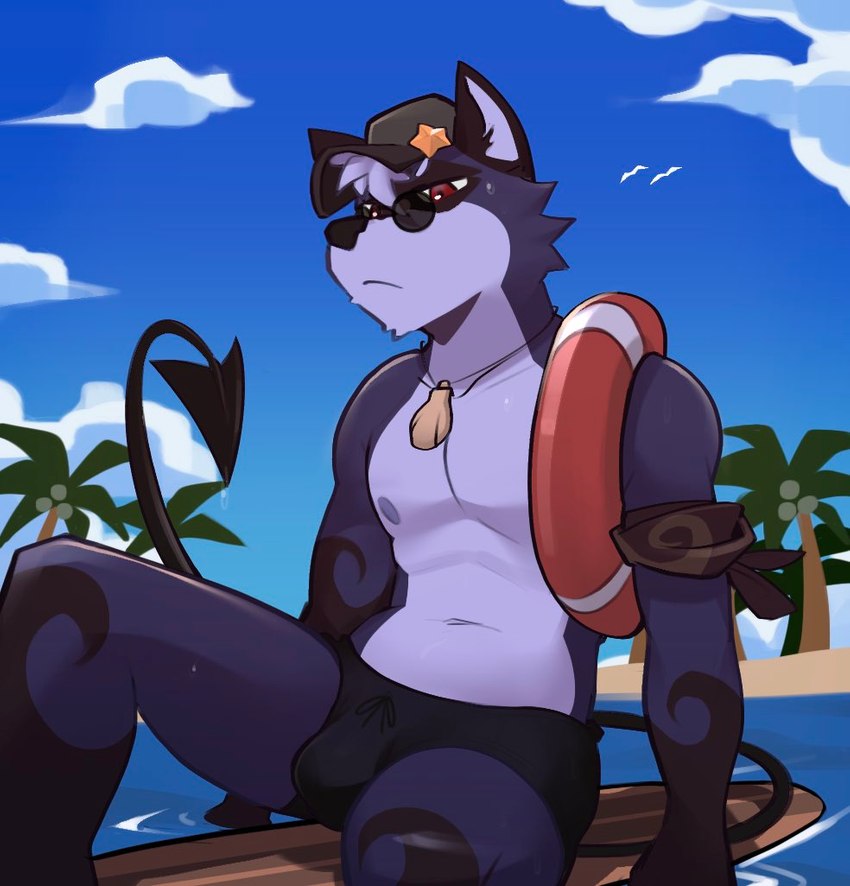 anthro beach bulge clothed clothing dark_body dark_fur eyewear fur hat headgear headwear male nipples outside palm_tree plant sea seaside shell sitting sky solo sunglasses surfboard swimwear topless tree water rygel_spkb rygel_(rygel_spkb) mammal procyonid raccoon