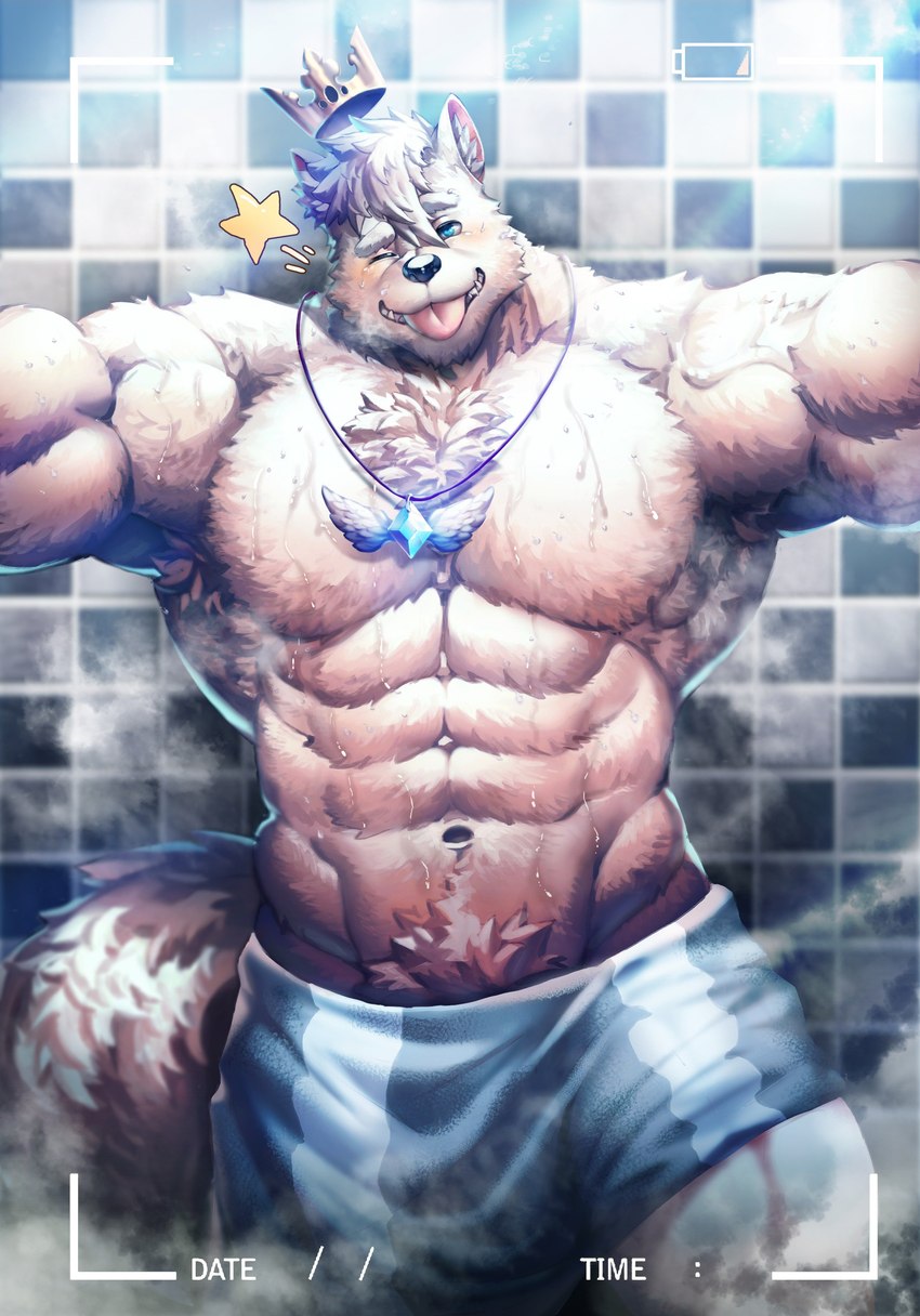 abs anthro armpit_hair biceps blue_eyes body_hair camera_hud chest_tuft crown fur gem grey_body grey_fur grey_hair hair headgear jewelry looking_at_viewer male muscular muscular_anthro muscular_male navel necklace obliques one_eye_closed pecs selfie serratus shower solo star tile tile_wall tongue tongue_out towel towel_around_waist tuft wall_(structure) wet wet_body wet_fur wink desfrog sean_(opsychowolfo) canid canine canis mammal wolf 2019 absurd_res hi_res