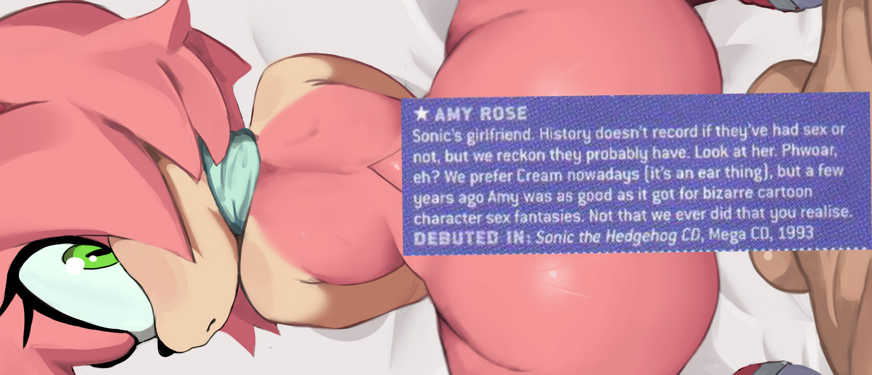 anthro balls big_butt boots butt clothing duo female footwear genitals green_eyes hair human_on_anthro interspecies looking_at_viewer looking_back looking_back_at_viewer male male/female mostly_nude multicolored_body pink_body pink_hair shoes tan_body text two_tone_body cranihum sega sonic_the_hedgehog_(series) amy_rose eulipotyphlan hedgehog human mammal absurd_res english_text hi_res