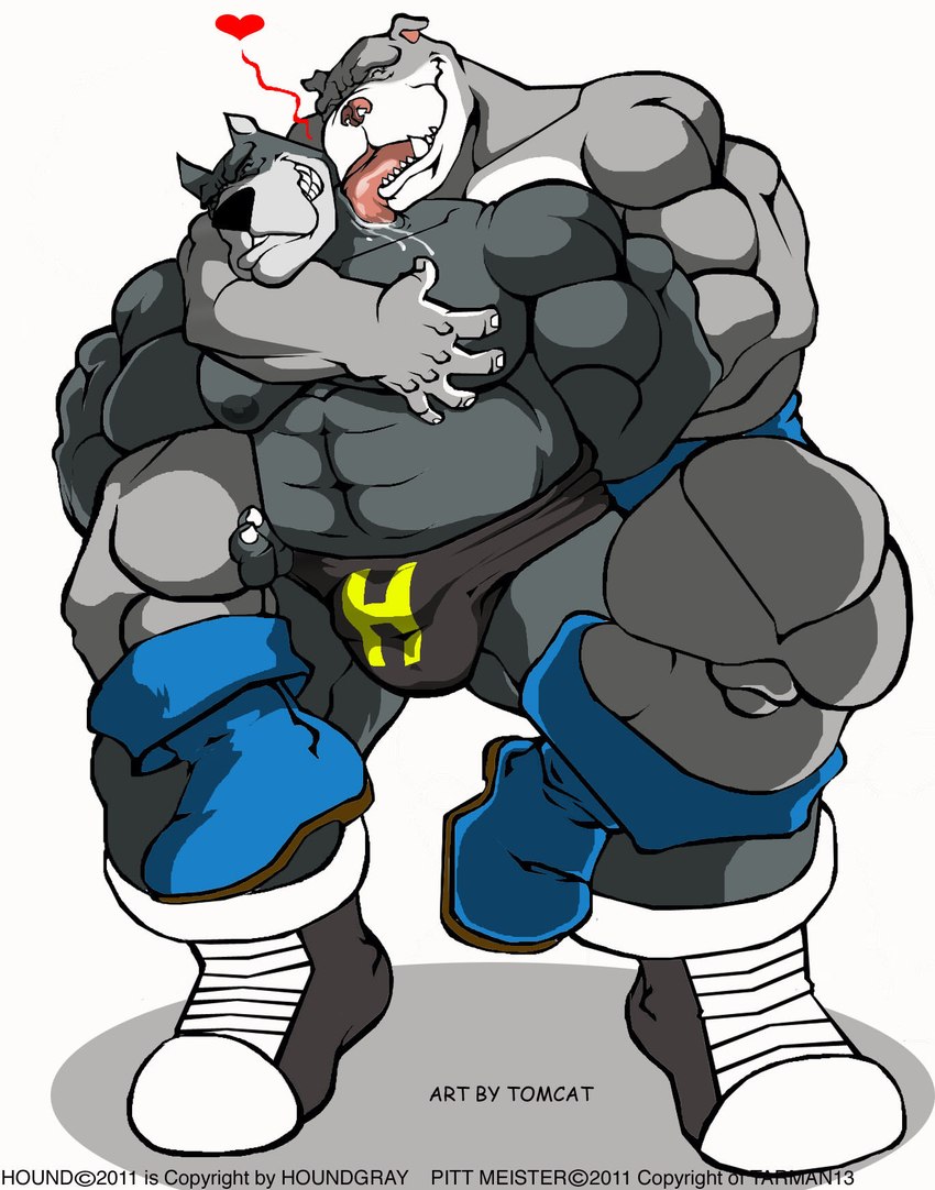 anthro bulge clothing detailed_bulge duo footwear grey_nipples heart_symbol licking male male/male muscular muscular_male nipples shoes tongue tongue_out wrestler wrestling_briefs tomcat_(artist) hound_(character) pitt_meister canid canine canis domestic_dog great_dane mammal mastiff molosser pit_bull 2011 hi_res