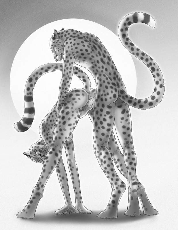 all_fours animal_genitalia animal_penis anthro anthro_on_anthro anus ass_up bent_over breasts butt duo erection eyes_closed fangs feline_genitalia feline_penis female female_penetrated from_behind_position genitals gradient_background grey_background knee_pit male male/female male_penetrating male_penetrating_female nipples nude open_mouth penetration penile penile_penetration penile_spines penis penis_in_pussy raised_tail sex simple_background snarling spots spread_legs spreading standing tail teeth vaginal vaginal_penetration bagheera khisa cheetah felid feline mammal greyscale hi_res monochrome