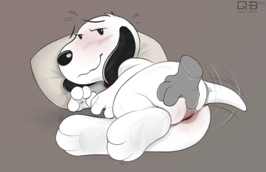 4_fingers anthro anus anus_only black_ears blush butt disembodied_hand duo fingers fur grey_background looking_pleasured lying male on_side paws pillow shy simple_background solo_focus spread_anus spreading tail tail_motion tailwag white_body white_fur q-blackbun peanuts_(comic) snoopy beagle canid canine canis domestic_dog hunting_dog mammal scent_hound 2021