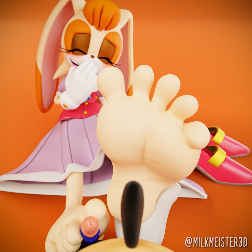 sonar and vanilla the rabbit (sonic the hedgehog (series) and etc) created by milkmeister3d