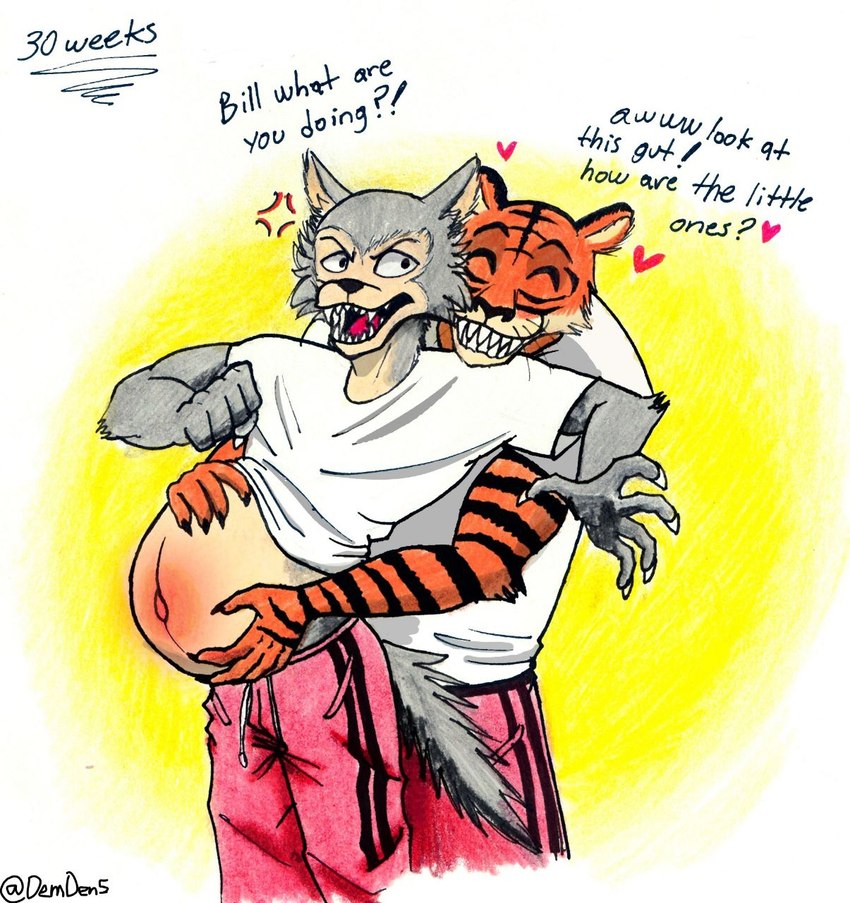 anthro belly big_belly clothed clothing clothing_lift countershading duo hand_on_belly male navel pregnant pregnant_anthro pregnant_male shirt shirt_lift topwear phantrieux beastars bill_(beastars) legoshi_(beastars) bengal_tiger canid canine canis felid mammal pantherine tiger wolf hi_res