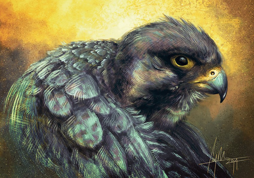 action_pose ambiguous_feral ambiguous_gender beady_eyes beak black_eyes detailed_feathers feathered_wings feathers feral flapping_wings glistening glistening_eyes gradient_background multicolored_beak pose side_view simple_background simulated_traditional_(artwork) solo speckled two_tone_beak wings caymartworks avian bird falcon falconid 2014 adobe_photoshop_(artwork) detailed digital_media_(artwork) digital_painting_(artwork) hi_res portrait