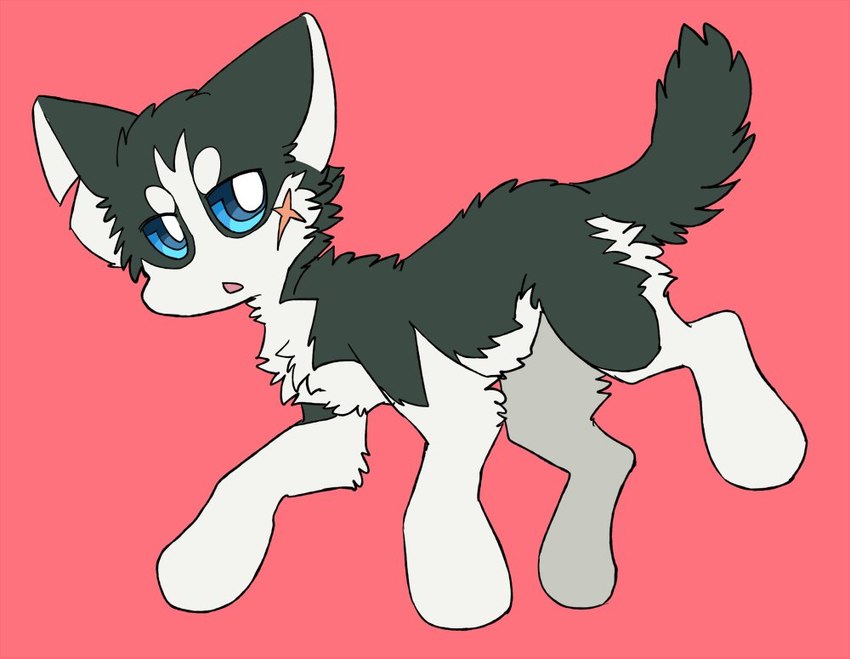 black_body black_fur countershading feral fur looking_at_viewer paws pink_background quadruped scar simple_background solo tail white_body white_fur ayaka a-chan canid canine canis domestic_dog husky mammal nordic_sled_dog siberian_husky spitz male_(lore)