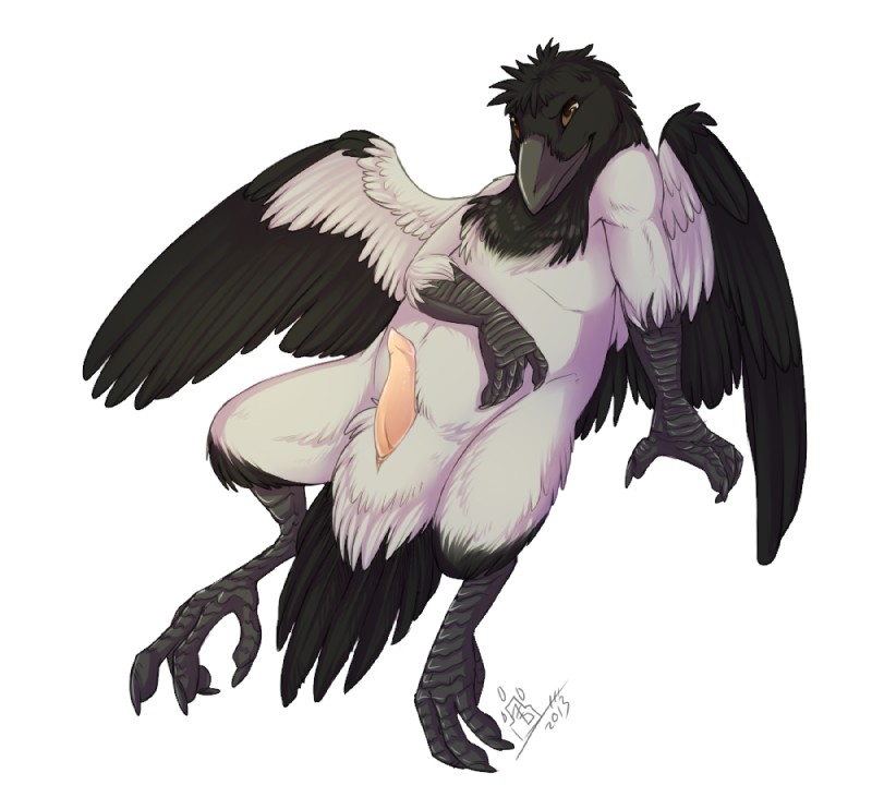 animal_genitalia anthro beak erection feathered_wings feathers feet genitals leaning male nude penis pink_penis presenting presenting_penis reclining seductive simple_background slightly_chubby solo talons tapering_penis toes white_background wings grostenmeiers jackrow_(character) avian bird corvid corvus_(genus) crow hooded_crow oscine passerine 2013