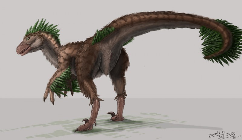3_toes ambiguous_gender animal_genitalia brown_body brown_fur butt claws cloaca digitigrade feathered_wings feathers feet feral fur genitals green_body green_eyes green_feathers inviting looking_at_viewer looking_back markings nude open_mouth pose presenting presenting_cloaca presenting_hindquarters raised_tail rear_view scales sharp_teeth simple_background solo standing tail teeth toe_claws toes tongue vertical_cloaca white_background white_body white_fur wings salireths ixerin_(character) dinosaur dromaeosaurid feathered_dinosaur feathered_scalie prehistoric_species reptile scalie theropod velociraptor 2012 3d_(artwork) digital_media_(artwork) pinup