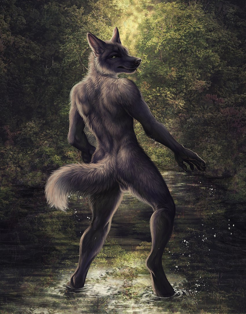 5_fingers anthro athletic athletic_anthro athletic_male back_muscles backsack balls bathing biped black_body black_fur black_nose butt claws detailed_background digitigrade finger_claws fingers fur genitals green_eyes light looking_at_viewer looking_back looking_back_at_viewer male male_anthro mouth_closed nature nature_background nude nude_anthro nude_male outdoor_nudity outside partially_submerged pawpads plant pointy_ears pose raised_tail rear_view reflection solo standing standing_in_water tail tasteful_nudity tree water water_drop wet whisker_spots rukis red_lantern_universe finnegan_(rukis) canid canine canis hybrid mammal wolfdog 2023 colored digital_media_(artwork) full-length_portrait hi_res lighting pinup portrait shaded