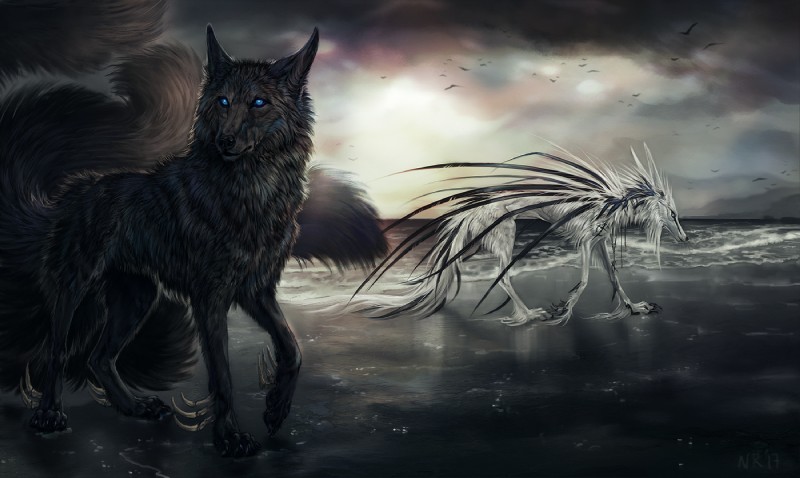 ambiguous_gender black_body black_feathers black_fur black_nose blue_eyes duo feathers feral fur multi_tail spikes spikes_(anatomy) spurs spurs_(anatomy) standing tail white_body white_fur nukerooster fallion canid canine canis mammal wolf male_(lore)