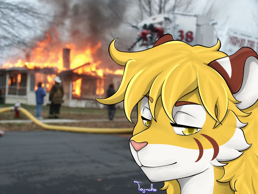 building fire fur group house solo_focus white_body white_fur yellow_body yellow_fur toynako disaster_girl tass_(tassy) felid hybrid liger lion mammal pantherine 4:3 digital_media_(artwork) meme