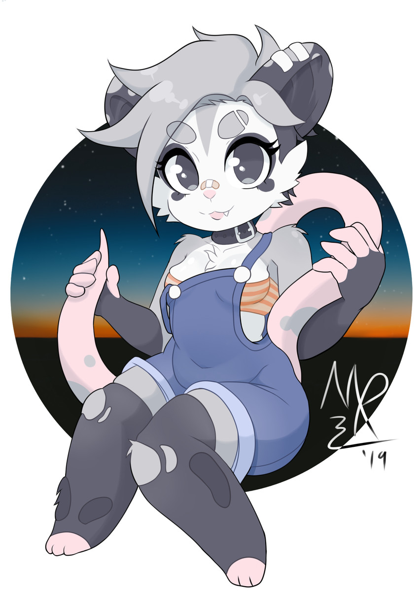 anthro breasts chibi clothing cute_fangs fangs female gloves grey_hair hair handwear long_tail looking_at_viewer overalls smile solo tail teeth torn_clothing mirrorreach airi_(mirrorreach) american_opossum mammal marsupial virginia_opossum 2019 hi_res