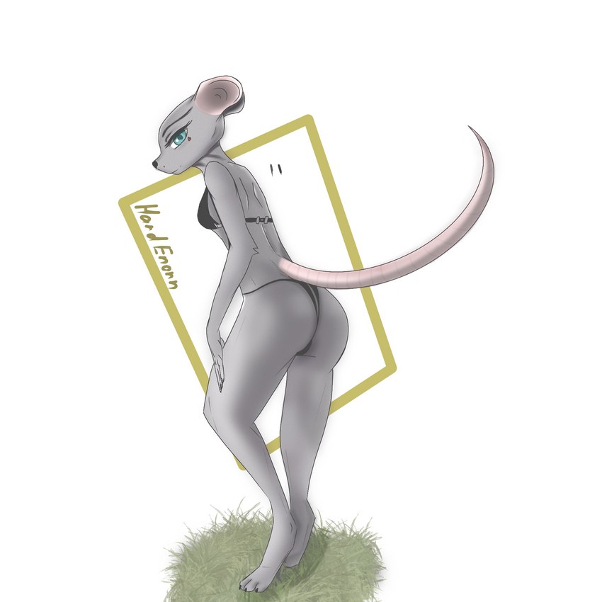 anthro butt clothing female grass lingerie plant solo hardenonn mammal mouse murid murine rodent 1:1 hi_res