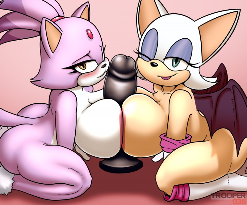 blaze the cat and rouge the bat (sonic the hedgehog (series) and etc) created by trooper036