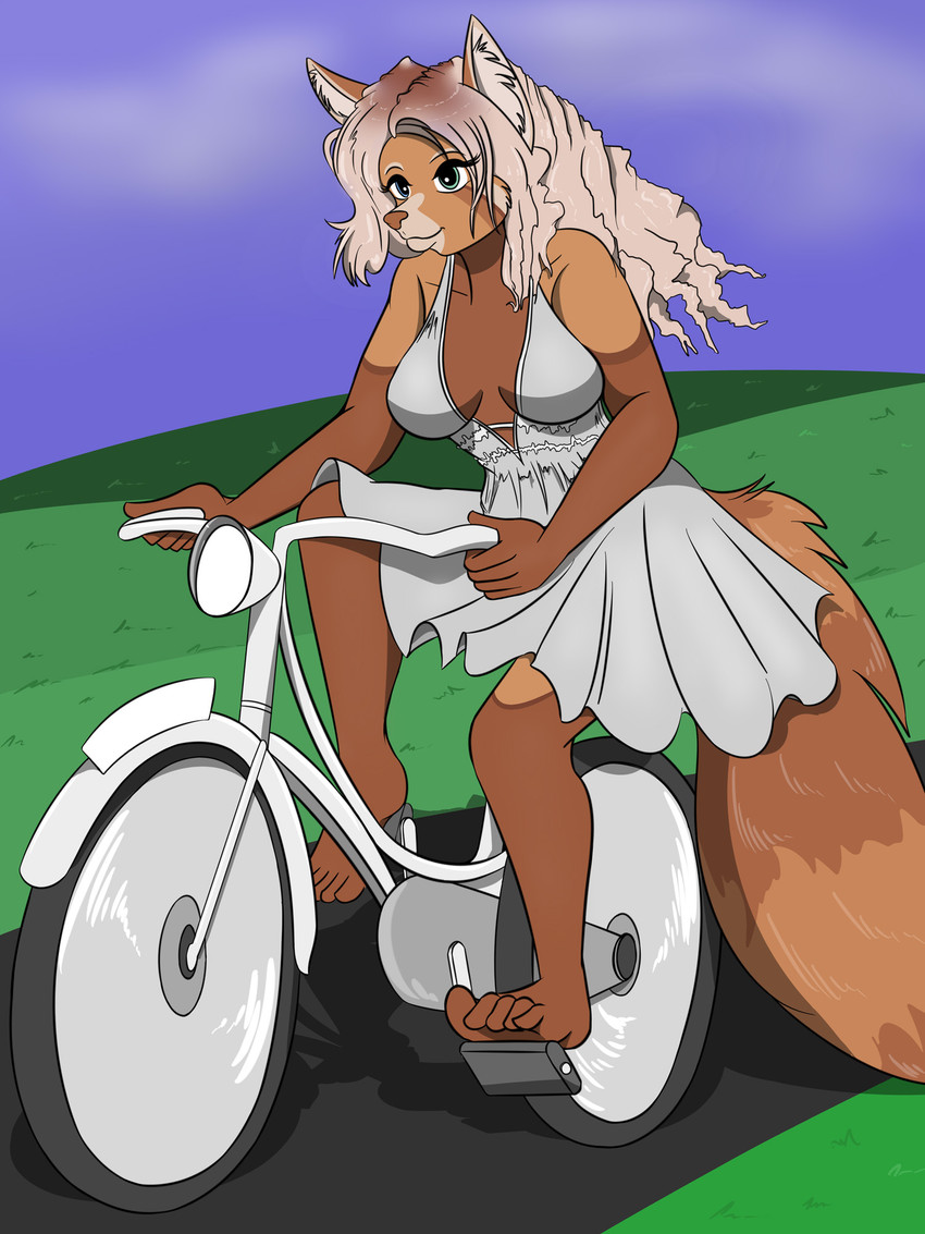 5_toes anthro barefoot bicycle breasts cleavage clothed clothing curling_toes cycling dress feet female fur hair markings outside plantigrade ring_(marking) ringed_tail solo striped_markings striped_tail stripes tail tail_markings toes vehicle sailoranna ailurid mammal red_panda 3:4 hi_res