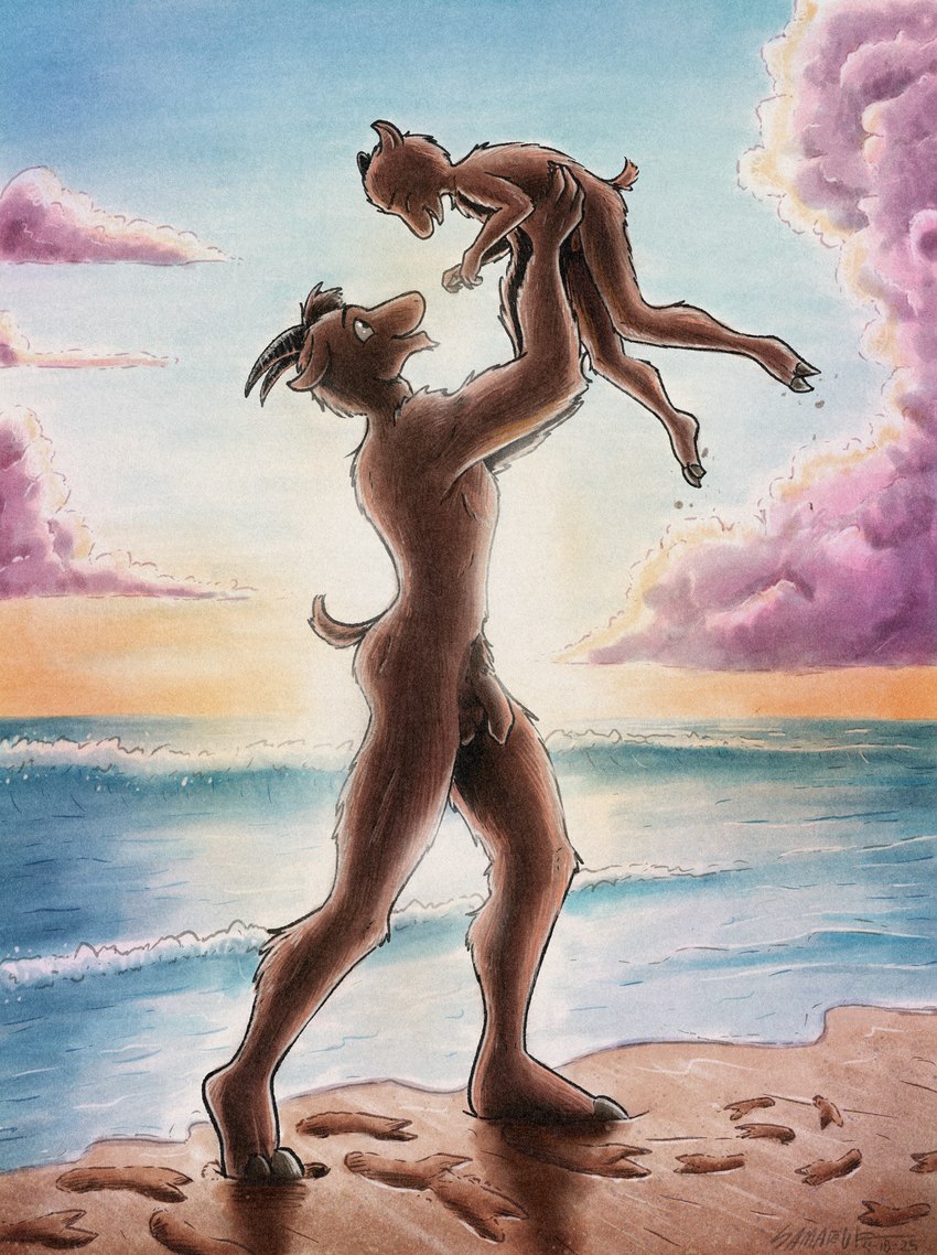 4_fingers age_difference anthro balls beach biped black_horn blue_sky brown_body brown_eyes brown_fur carrying_another casual_nudity cloud cloven_hooves detailed_background duo eyes_closed facial_hair fingers flaccid footsteps foreskin fur genitals goatee hooved_plantigrade hooved_toes hooves horn looking_at_another male nude nude_anthro nude_male older_anthro older_male open_mouth outside penis plantigrade pubes sand short_tail simulated_traditional_(artwork) sky standing sunset tail water white_sclera young young_anthro young_male younger_anthro younger_male samareck ajir_(samareck) bovid caprine goat mammal 2025 absurd_res dated digital_media_(artwork) hi_res signature adopted_(lore) adopted_son_(lore) adoptive_father_(lore)