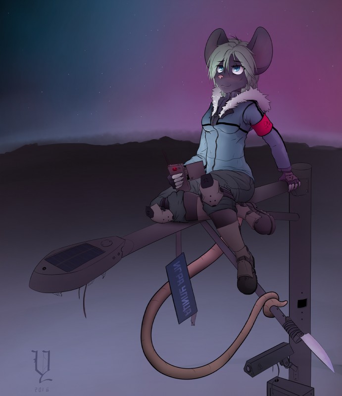 anthro armband biped camera cctv clothed clothing electronics female holding_melee_weapon holding_object holding_phone holding_polearm holding_weapon improvised_weapon looking_up melee_weapon phone polearm red_armband solo tail_hold text weapon ytties yttrium_(artist) mammal murid murine rat rodent 2016 cool_colors english_text hi_res