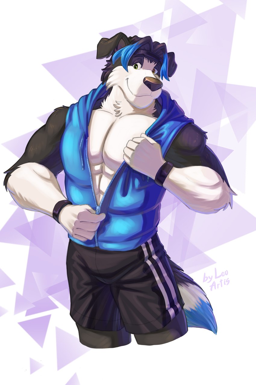 anthro black_bottomwear black_clothing black_shorts blue_clothing blue_topwear bottomwear clothing fur gradient_background hoodie male muscular muscular_anthro muscular_male presenting shorts simple_background smile solo topwear triangle_(shape) wristband zipper leo-artis mason_(trivolmckenley) border_collie canid canine canis collie domestic_dog herding_dog mammal pastoral_dog sheepdog 2022 absurd_res hi_res signature