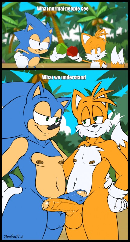 miles prower and sonic the hedgehog (sonic the hedgehog (series) and etc) created by aval0nx and tyson hesse