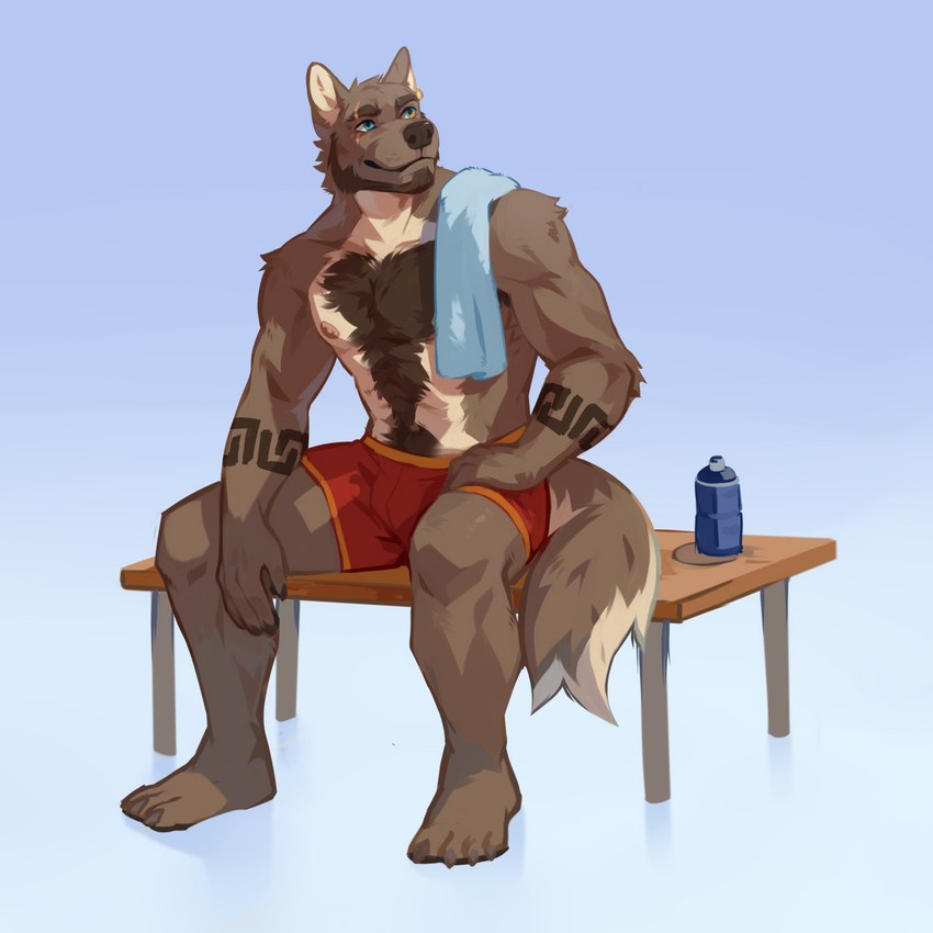 anthro arm_markings arm_tuft beard blue_eyes body_hair brown_beard brown_body brown_facial_hair brown_fur bulge chest_hair clothed clothing elbow_tuft facial_hair fur happy_trail head_tuft male markings mouth_closed shoulder_tuft sitting solo tan_body tan_fur topless towel towel_on_shoulder tuft corzh77 nick_grant canid canine canis domestic_dog mammal 1:1 hi_res