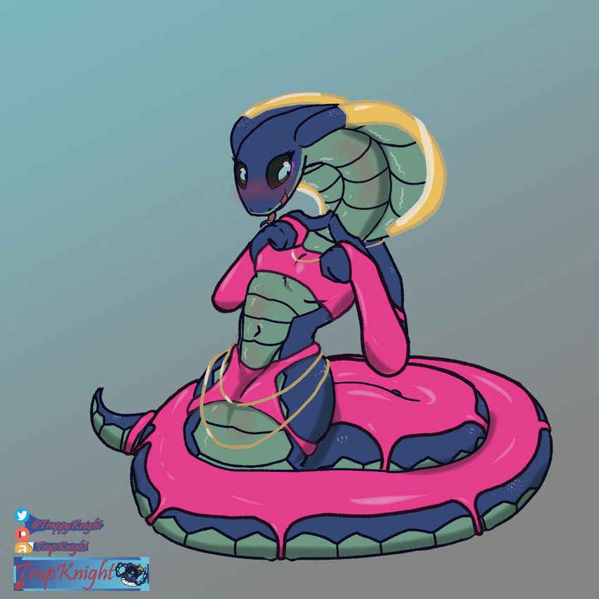 anthro balls blush clothed clothing crop_top genitals male penis serpentine shirt shy tongue topwear trapknight reptile scalie snake 1:1 hi_res tagme