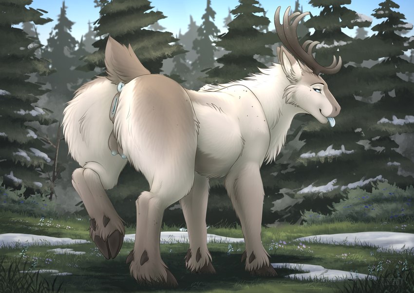 antlers anus blep blue_eyes butt cheek_tuft chest_tuft day detailed_background facial_tuft female feral fir_tree forest genitals grass hooves horn inner_ear_fluff neck_tuft outside plant pussy rear_view snow solo standing tail tail_anus teasing teats tongue tongue_out tree tuft udders unguligrade conditional_dnp zenrii kori_(zenrii) deer mammal new_world_deer reindeer absurd_res colored digital_drawing_(artwork) digital_media_(artwork) full-length_portrait hi_res portrait