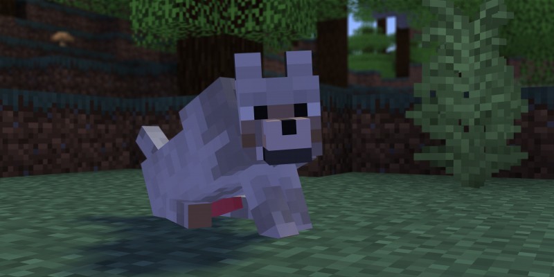 animal_genitalia animal_penis canine_genitalia canine_penis erection feral fur genitals looking_at_viewer male penis solo white_body white_fur codedcells microsoft minecraft mojang xbox_game_studios canid canine canis mammal pale_wolf_(minecraft) wolf wolf_(minecraft) 2019 2:1 3d_(artwork) 8k absurd_res digital_media_(artwork) hi_res