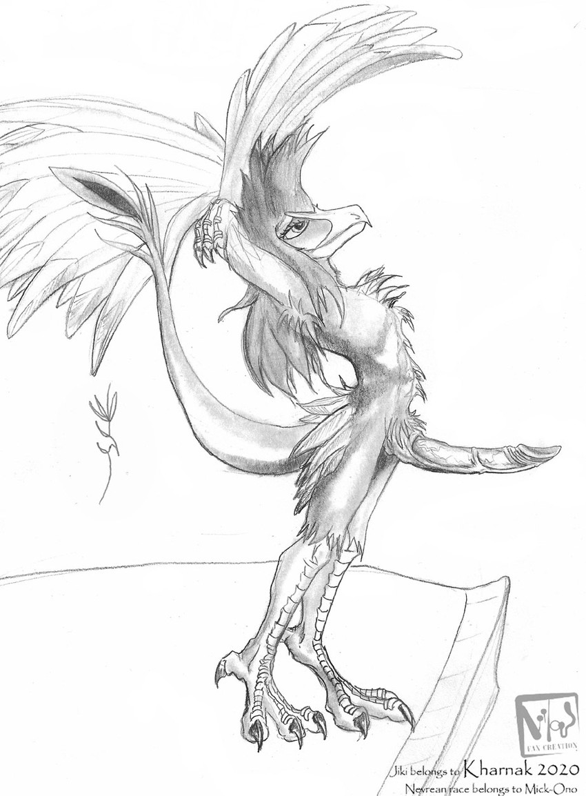 anthro erection jiki male presenting solo kharnak vilous avian nevrean hi_res monochrome